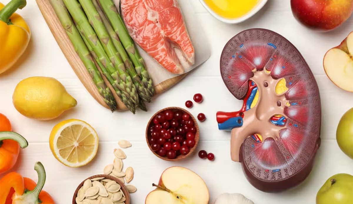 Los 3 mejores y peores alimentos para los riñones – COEM CORPORATIVO DE